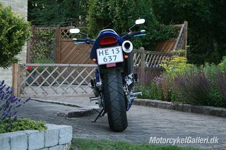 Honda CB 600 Hornet billede 1