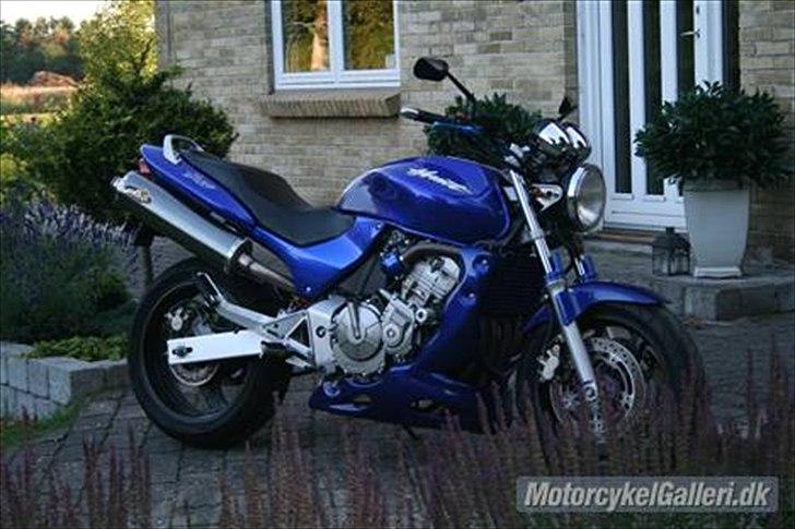 Honda CB 600 Hornet billede 2