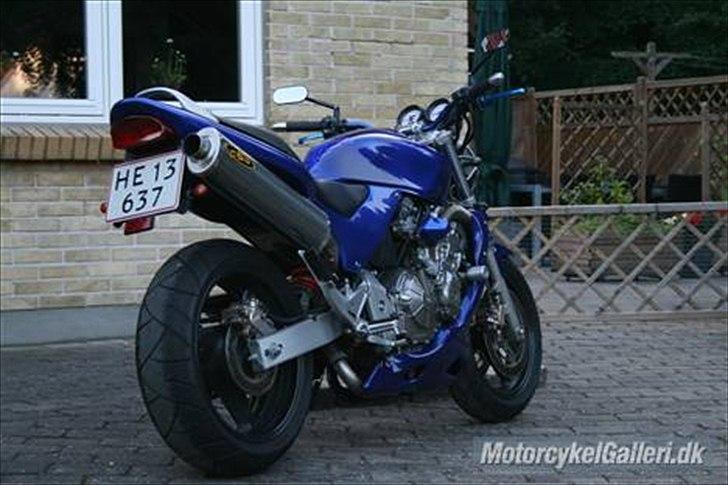 Honda CB 600 Hornet billede 3