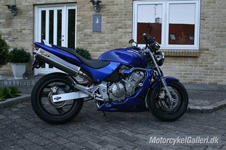 Honda CB 600 Hornet billede 4