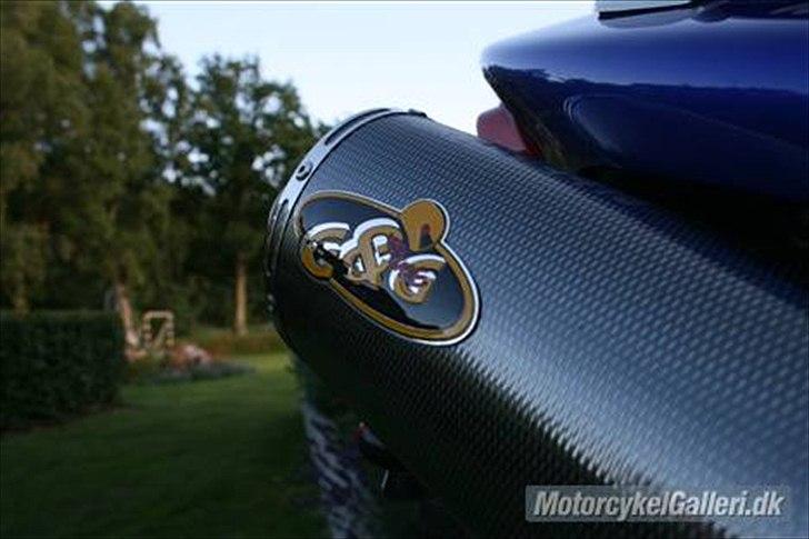 Honda CB 600 Hornet billede 5
