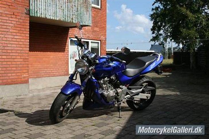 Honda CB 600 Hornet billede 8