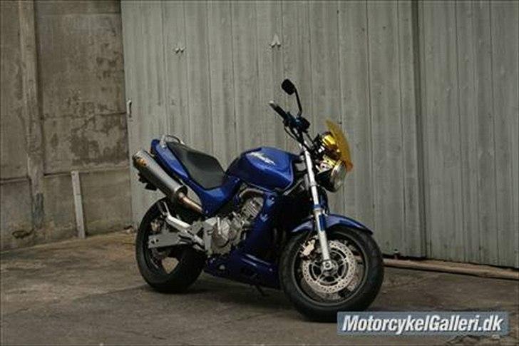 Honda CB 600 Hornet billede 9