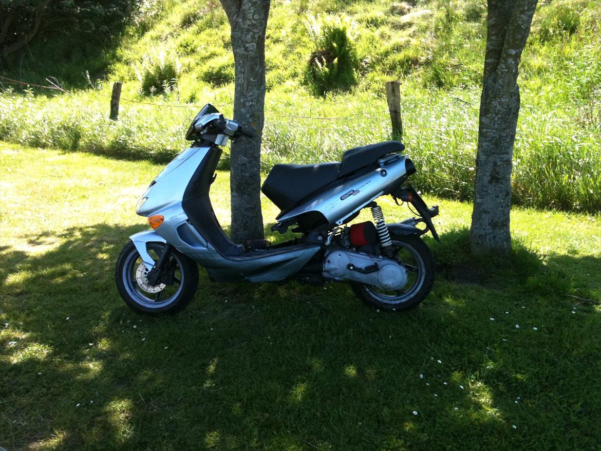 Aprilia SR 174 - "Shes faster than she looks" billede 4