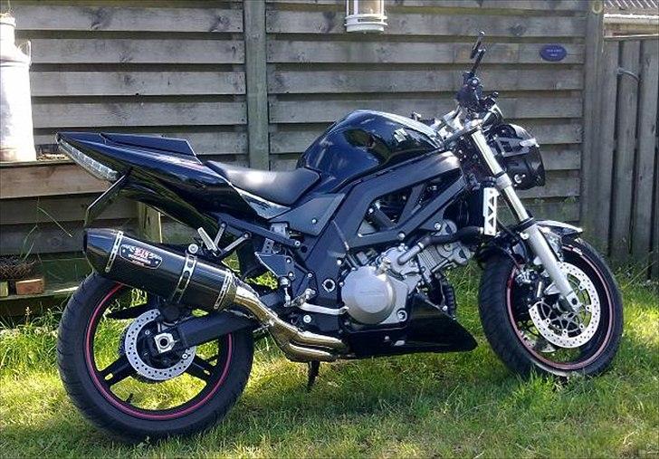 Suzuki SV 1000 N billede 5