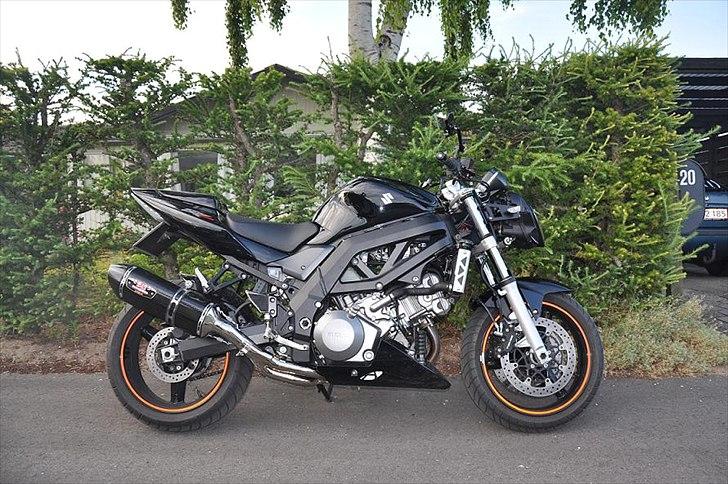 Suzuki SV 1000 N billede 2