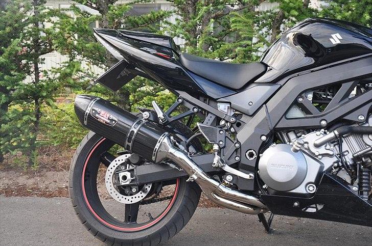 Suzuki SV 1000 N billede 1