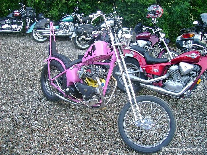 Triumph CHOPPER billede 9