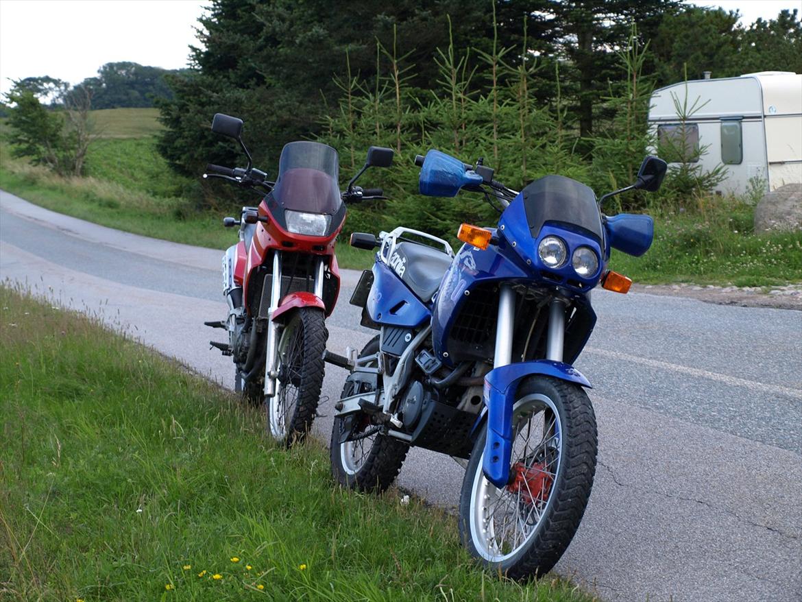Aprilia pegaso billede 1