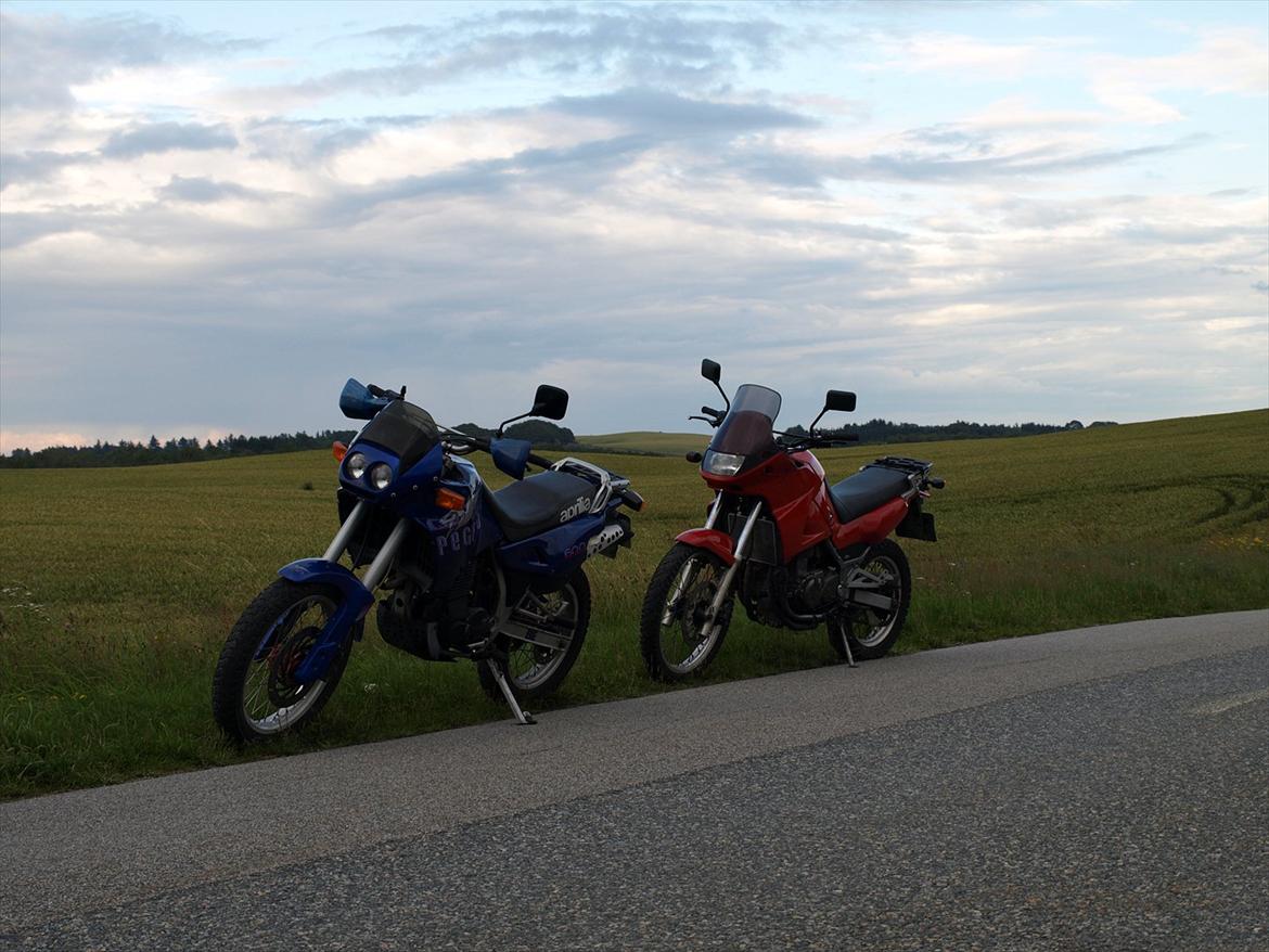 Aprilia pegaso billede 3
