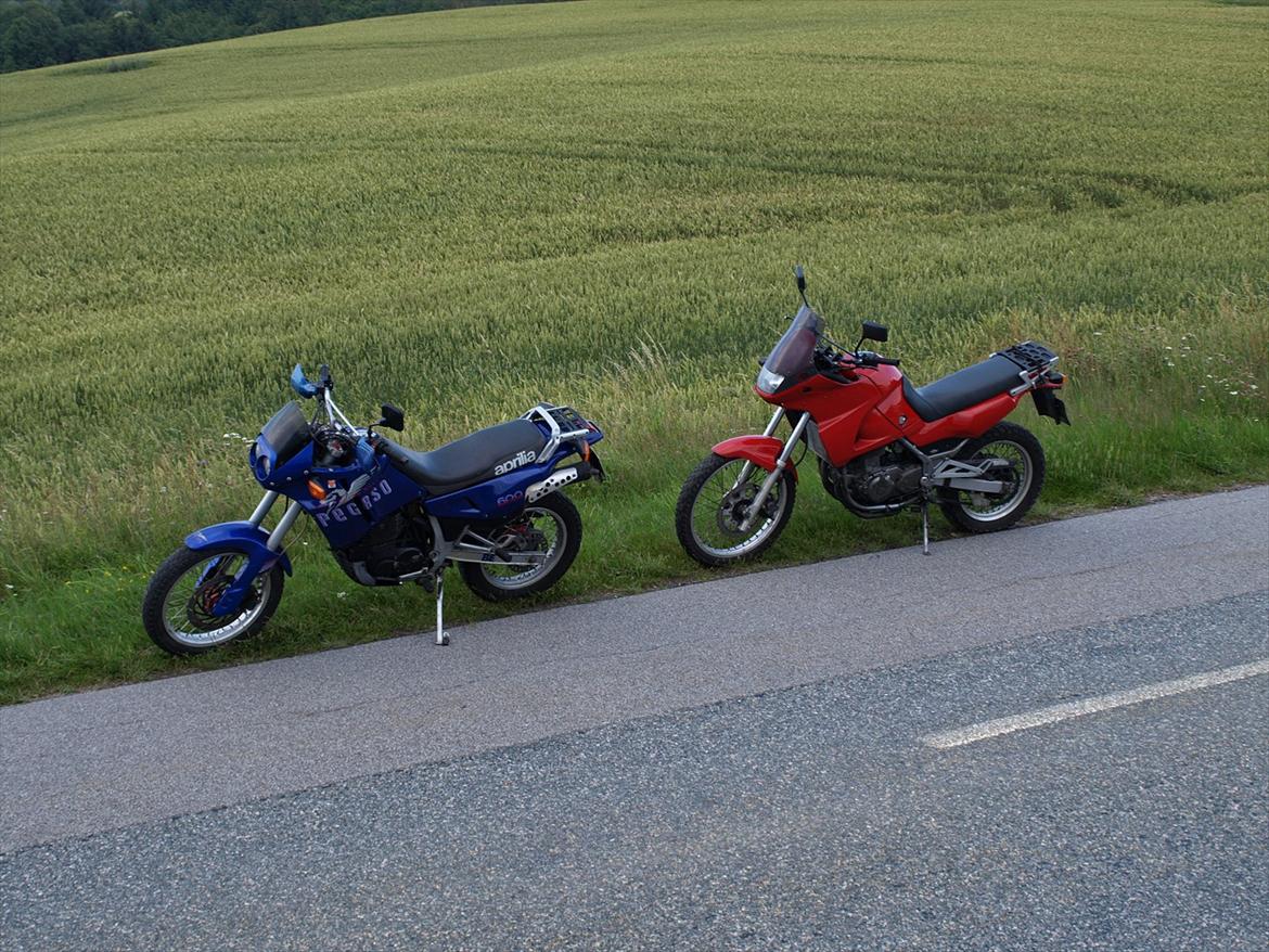 Aprilia pegaso billede 4