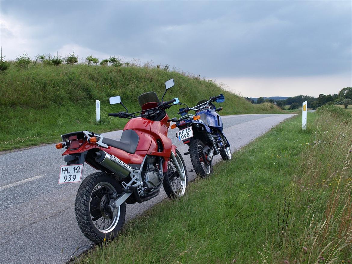 Aprilia pegaso billede 5