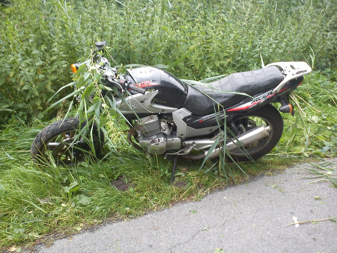 Kinlon JL250 AGA - Efter Møde med en hare... billede 17