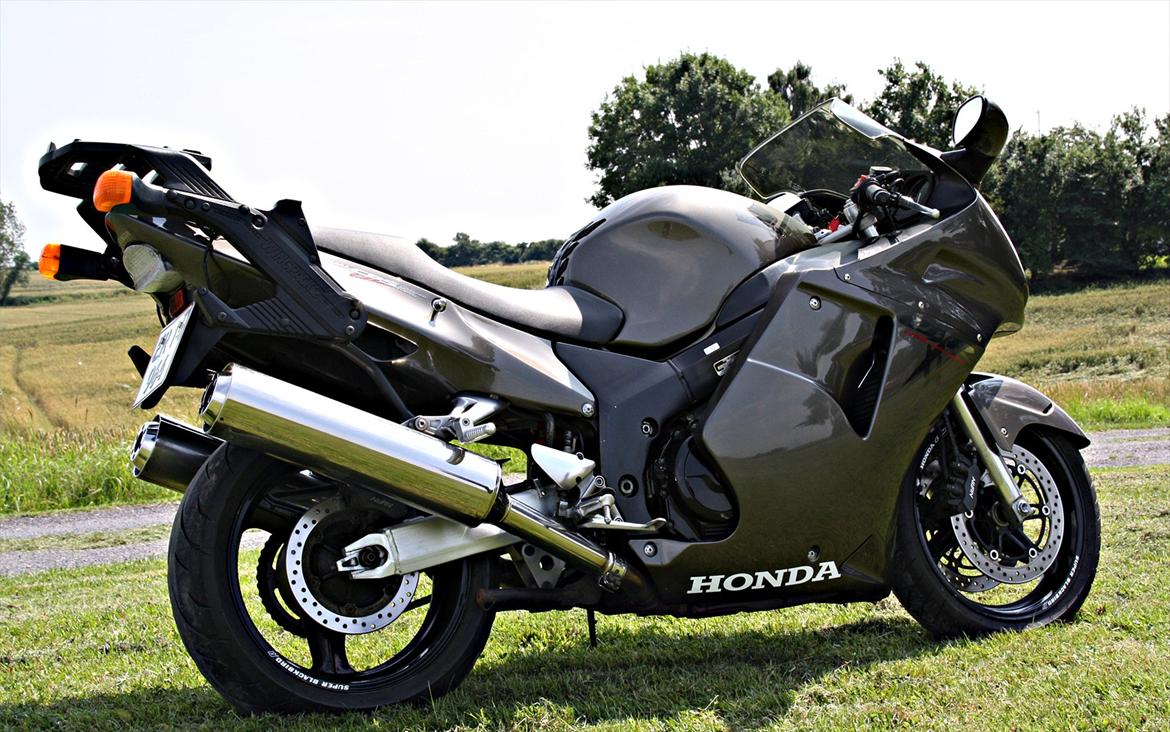 Honda Blackbird Cbr1100xx billede 3