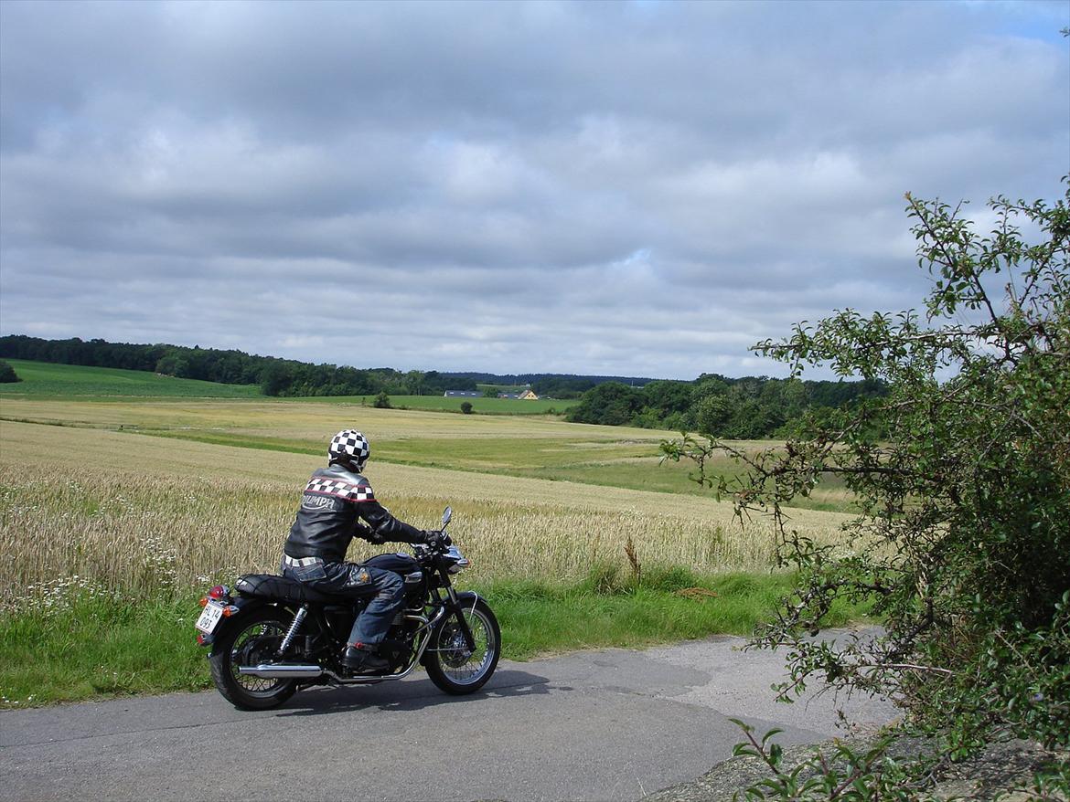 Triumph Bonneville Black billede 18
