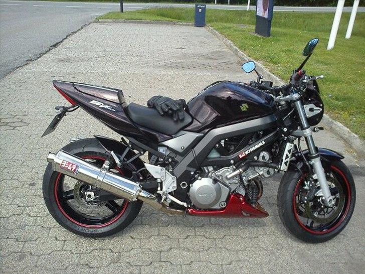 Suzuki SV 1000 N - 1 dag på vej hjemad ;-) billede 5