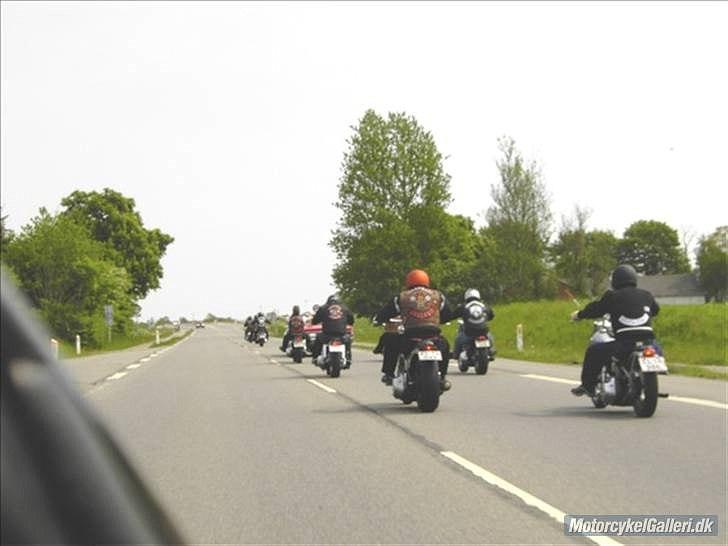 Harley Davidson Sporster billede 10