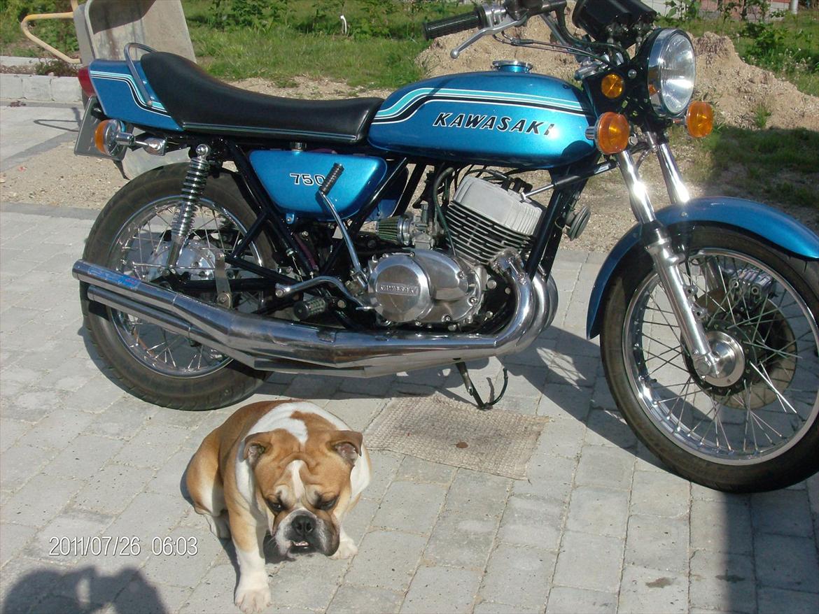 Kawasaki Triple H2 billede 15