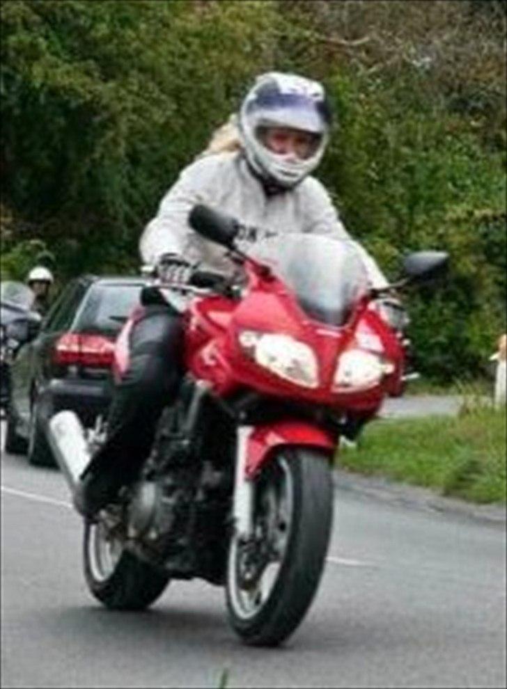 Suzuki SV1000S billede 8