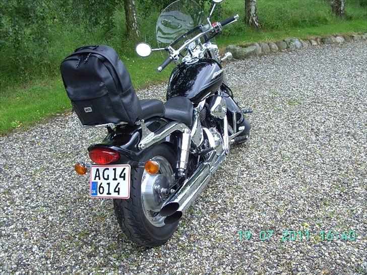 Suzuki vz800 Marauder billede 3