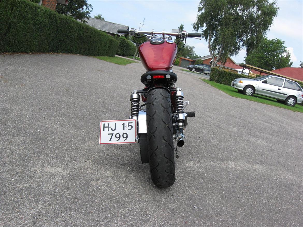 Suzuki LS 650 Savage billede 6