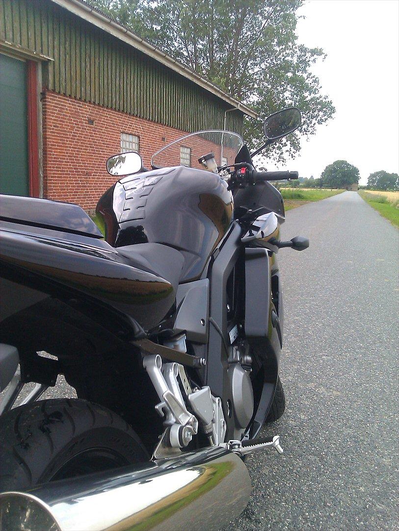 Suzuki Sv650S 2010 billede 15