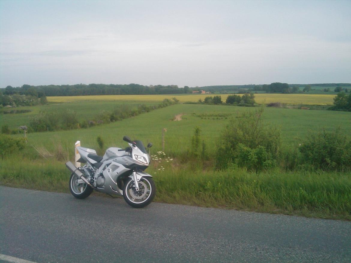 Suzuki Sv 1000s billede 6