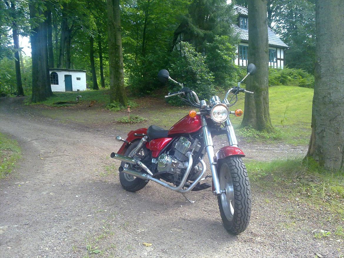 Jinlun 250-5 Chopser billede 4