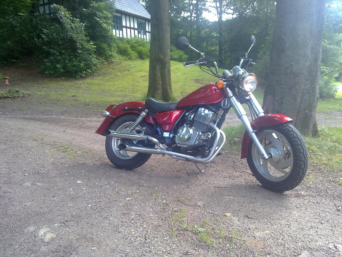 Jinlun 250-5 Chopser billede 5