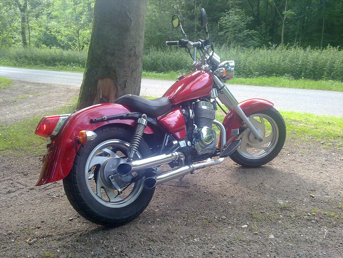 Jinlun 250-5 Chopser billede 6