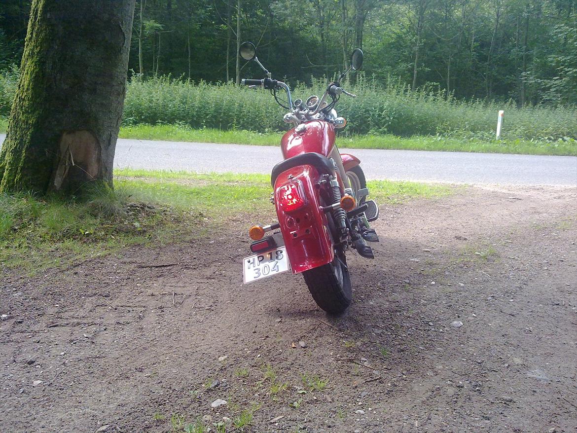 Jinlun 250-5 Chopser billede 7