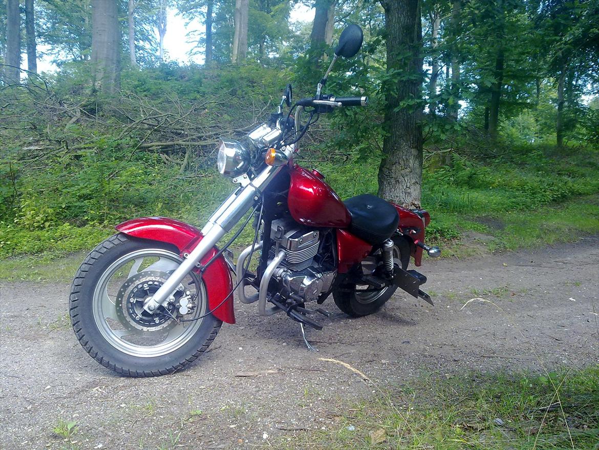 Jinlun 250-5 Chopser billede 11