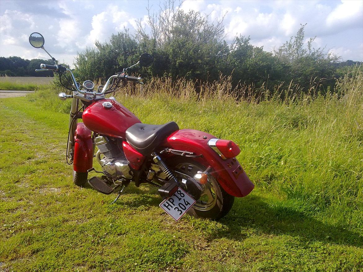 Jinlun 250-5 Chopser billede 12