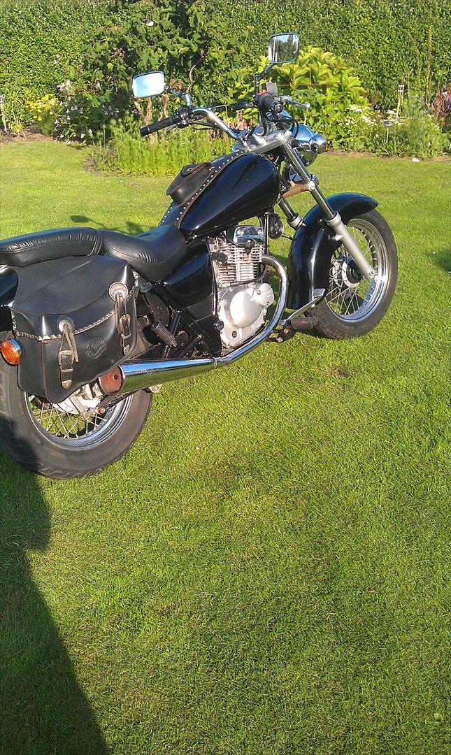 Suzuki GZ 125 Marauder billede 4