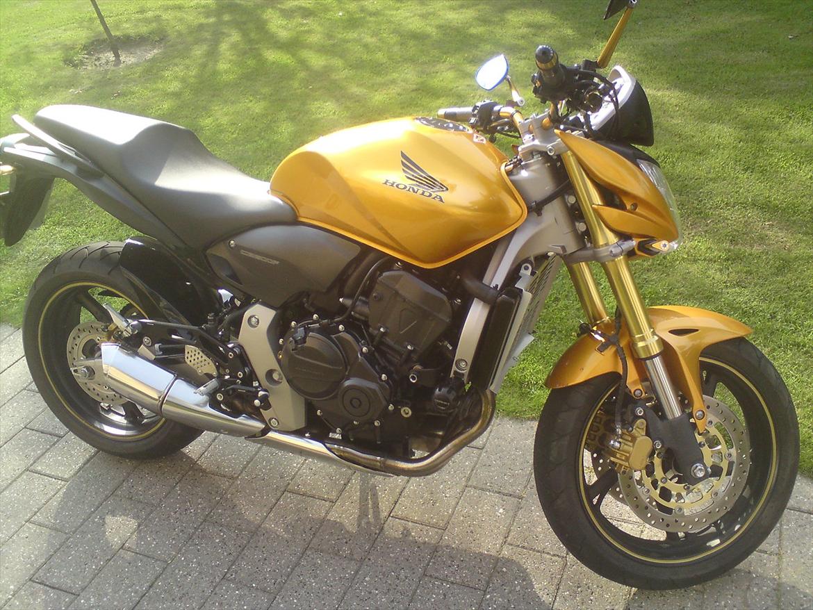 Honda cb 600f hornet Rizoma billede 10