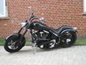 Harley Davidson custom