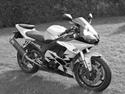 Yamaha Yfz R46 R6