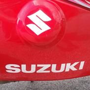 Suzuki GS 500 E [SOLGT]
