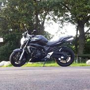 Yamaha FZ6-N