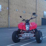 Hyosung TE 450