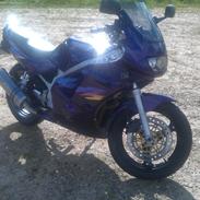 Suzuki GS 500E (SOLGT)