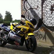 Honda CBR 600 F4i Sport Rossi