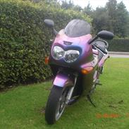 Suzuki gsx600f