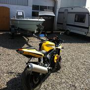 Yamaha R6