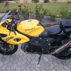 Suzuki TL 1000 S (SOLGT)