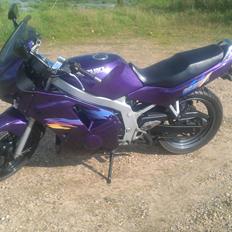 Suzuki GS 500E (SOLGT)