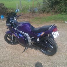 Suzuki GS 500E (SOLGT)