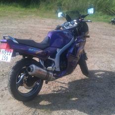 Suzuki GS 500E (SOLGT)