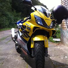 Honda CBR 600 F4i Sport Rossi