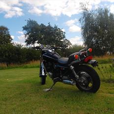 Kawasaki ZL600 (SOLGT) 